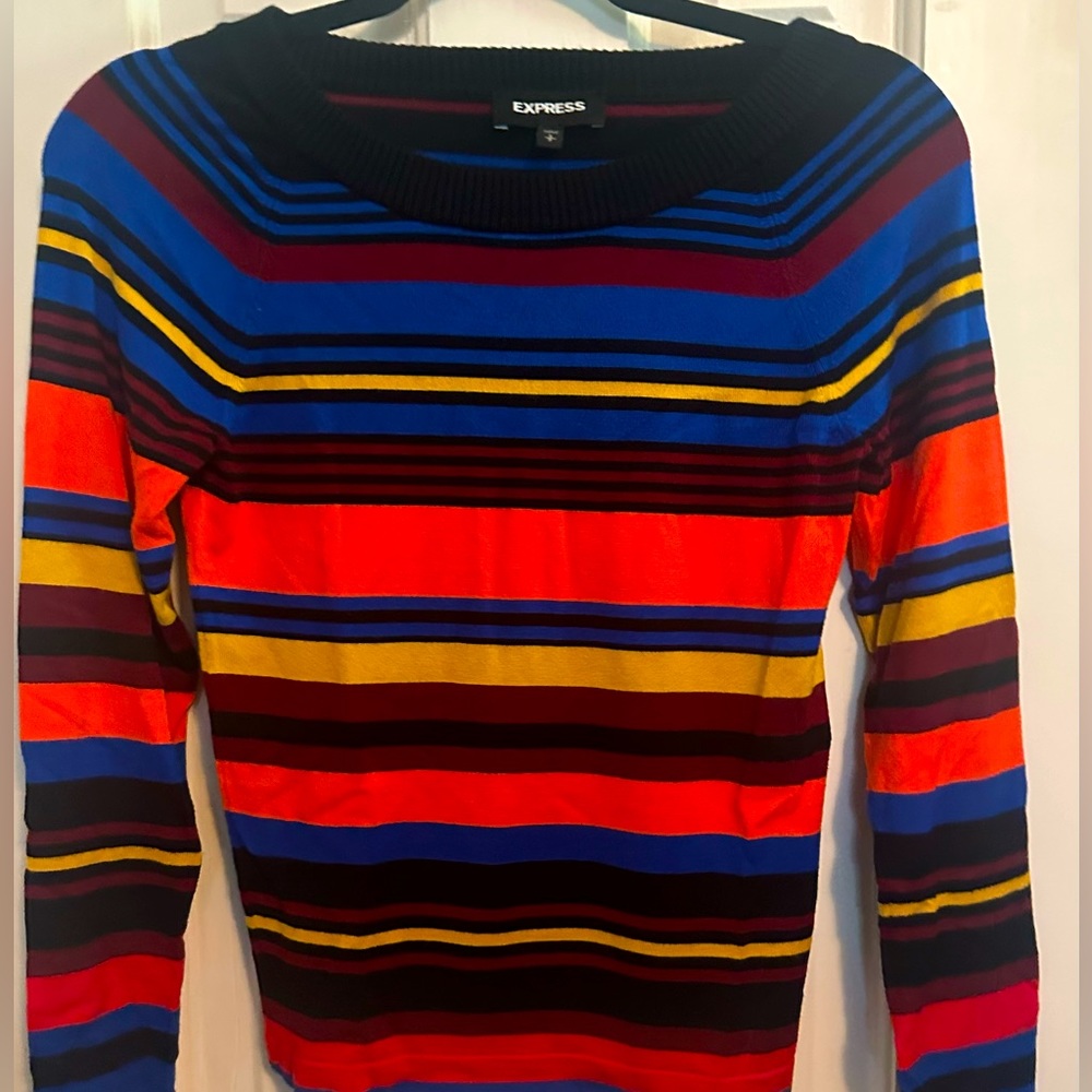 Express light weight sweater